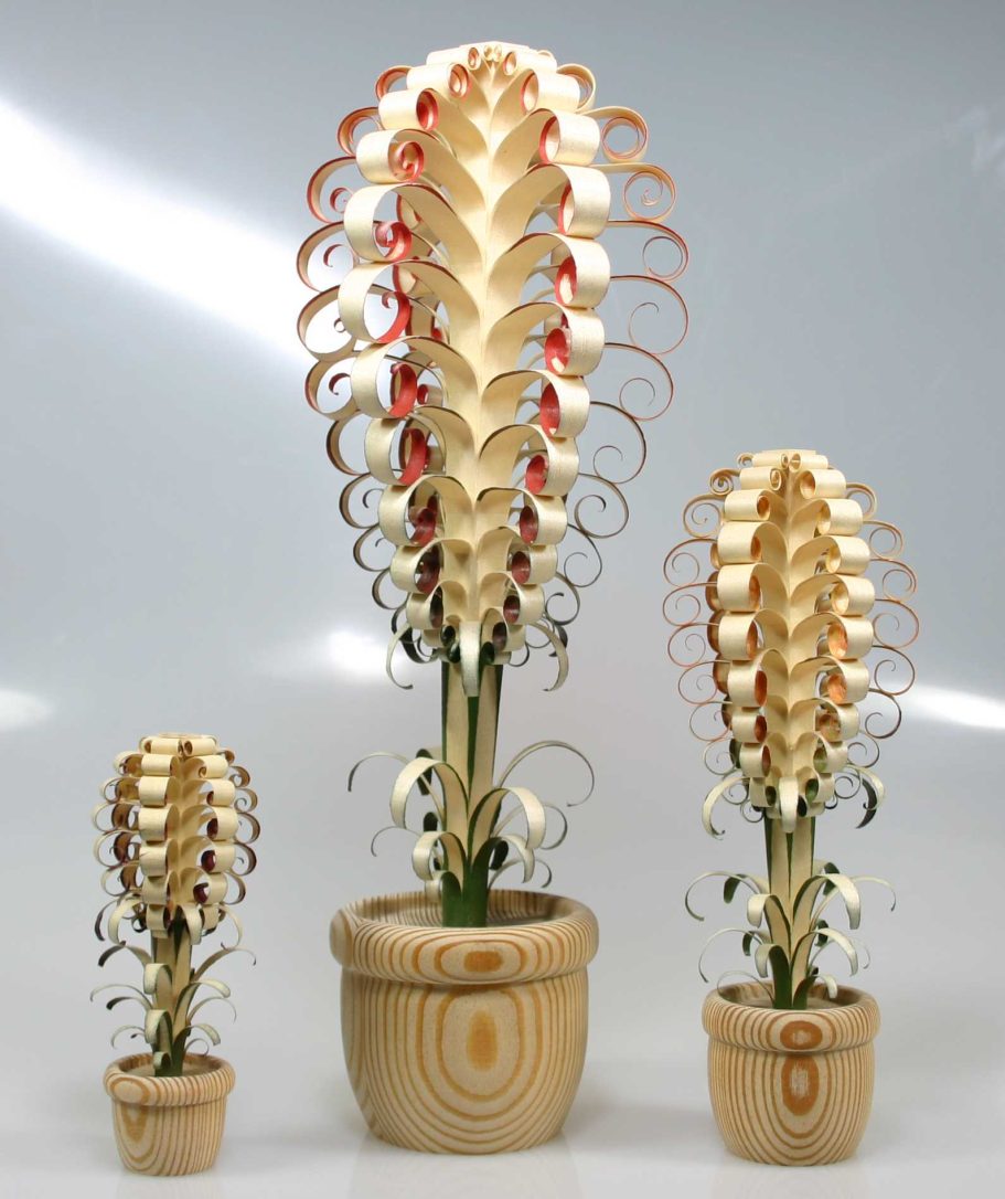 Spanblumen, coloriert Spanblumen, coloriert